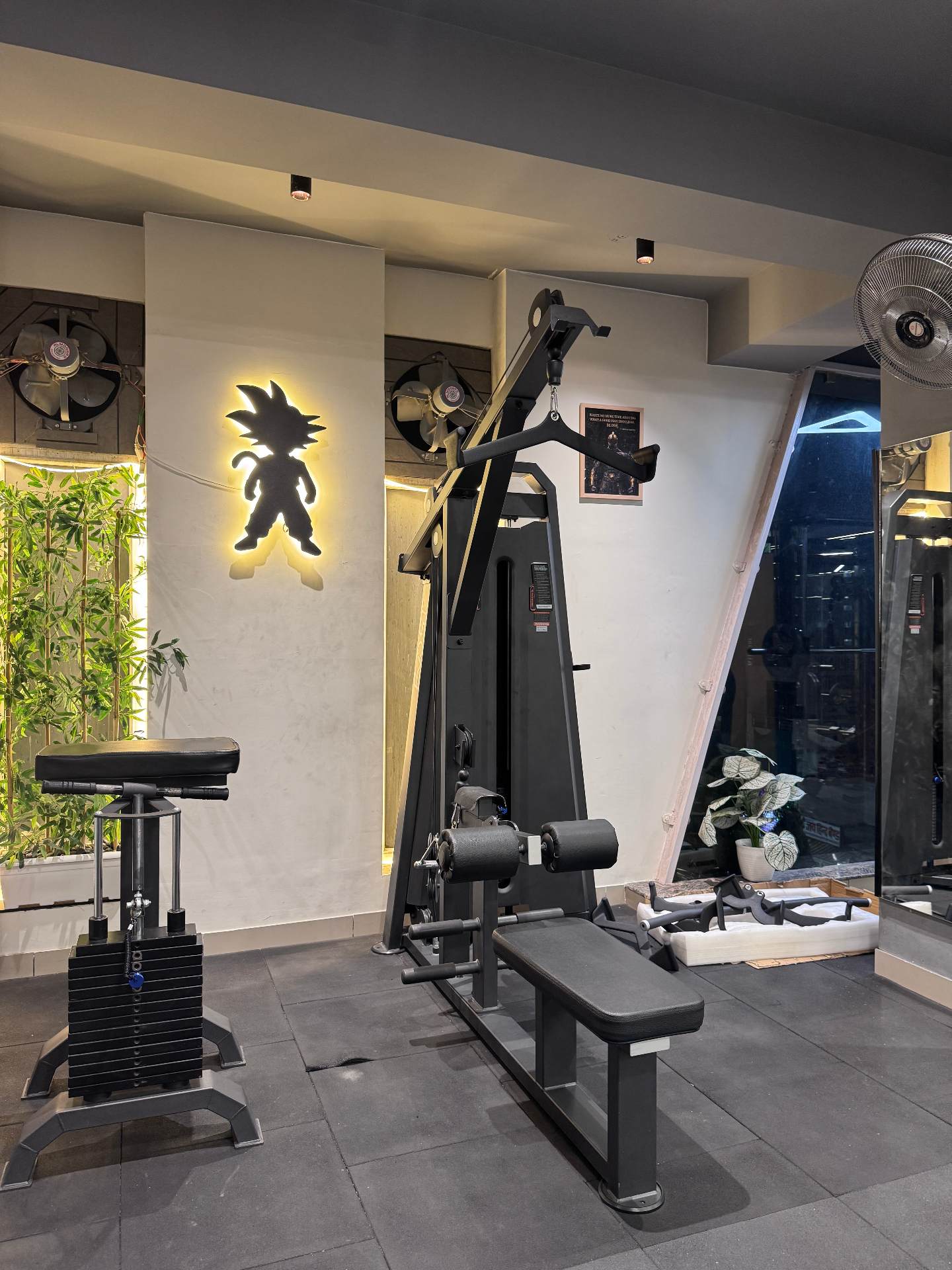 Lat pull machine area