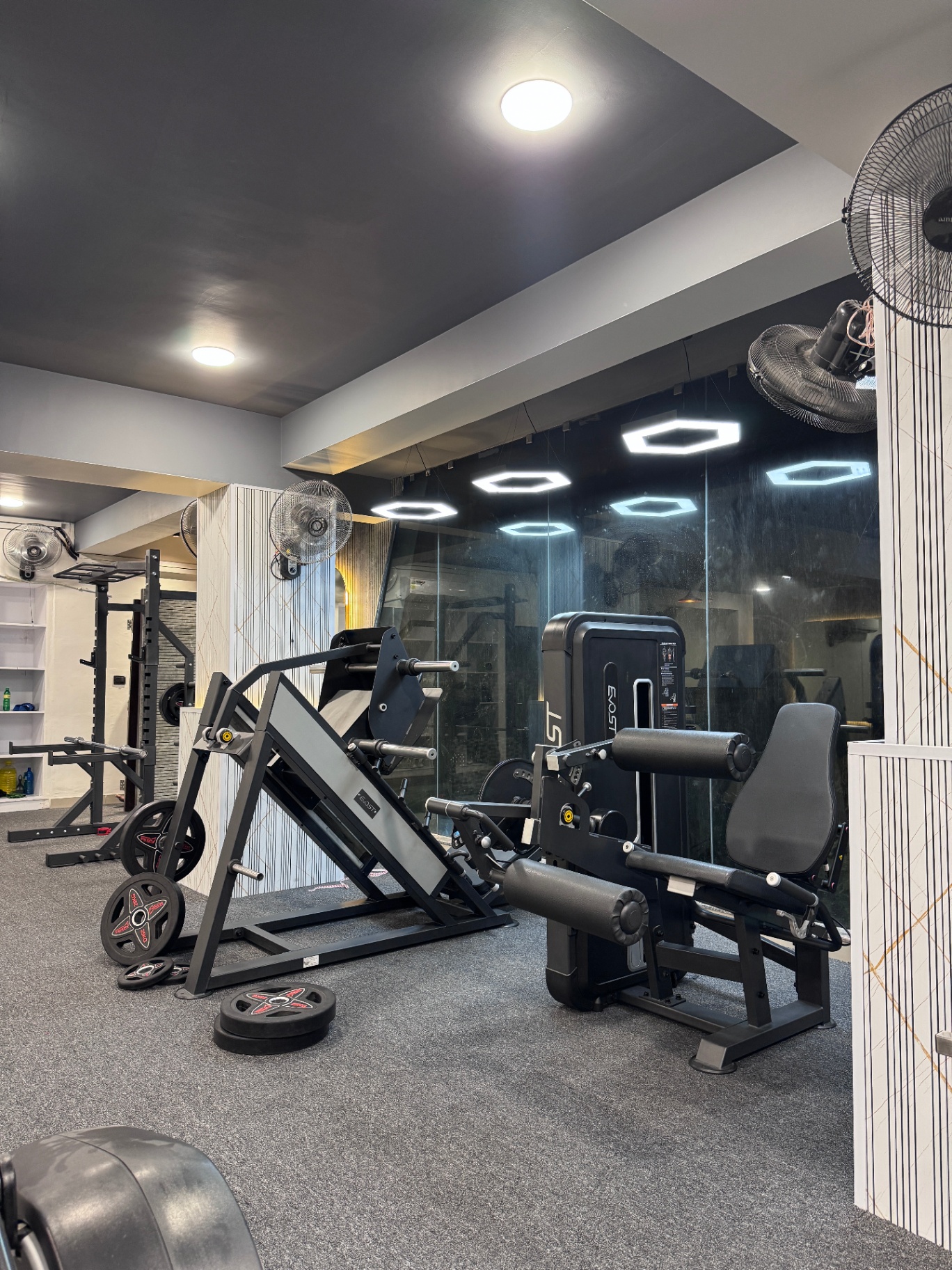 Leg press and strength machines